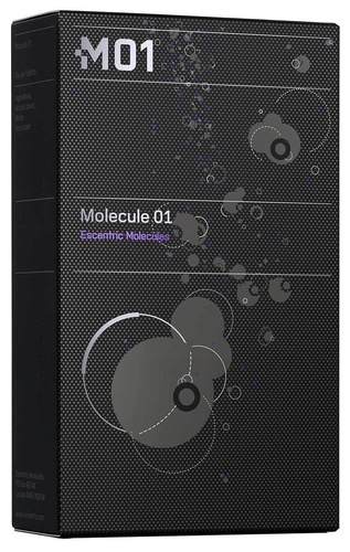 Escentric Molecules Molecule 01 100 ml